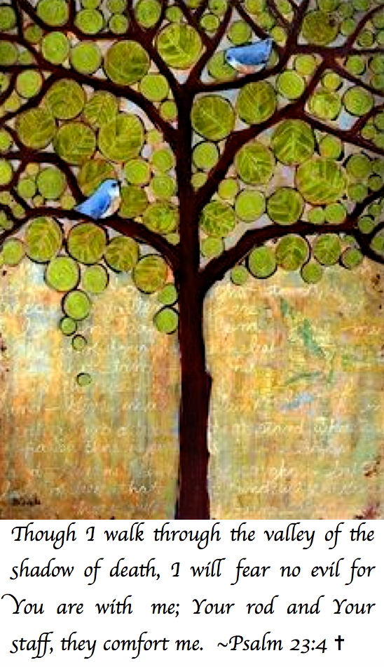 Screen Shot 2017-09-16 at 9.18.08 PM.png