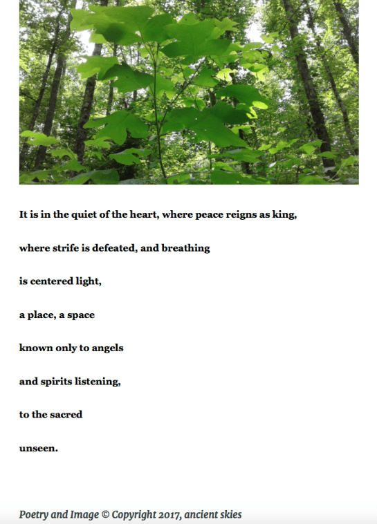 Screen Shot 2017-09-20 at 10.48.43 PM.png