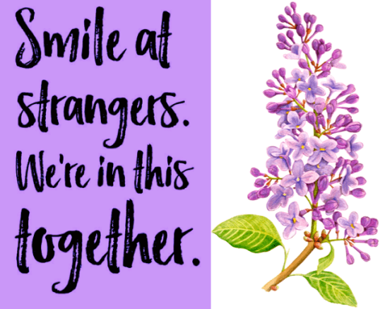 Screen Shot 2017-09-21 at 11.56.11 PM.png