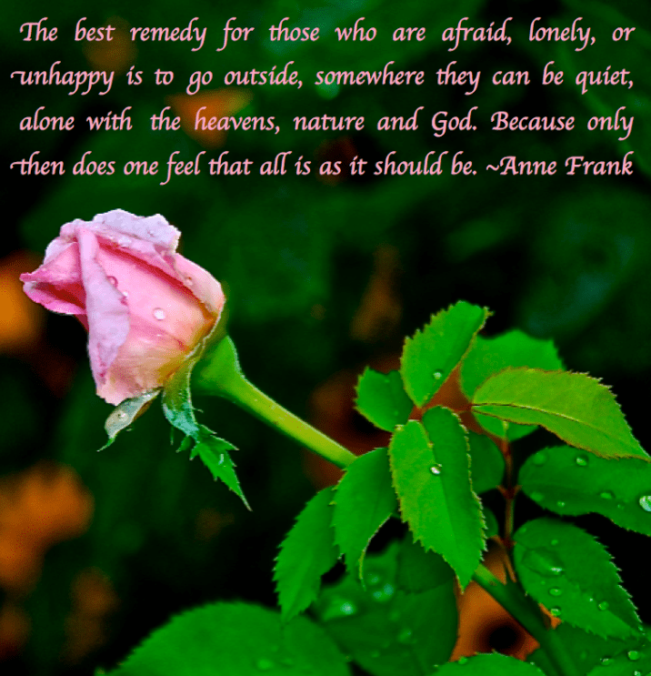 Screen Shot 2017-09-22 at 10.11.03 PM.png