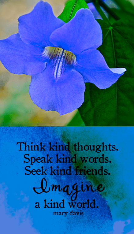 Screen Shot 2017-09-22 at 10.23.05 PM.png