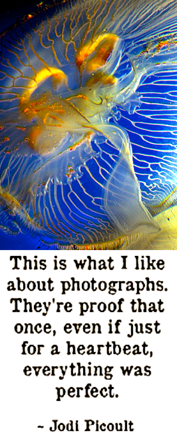 Screen Shot 2017-09-22 at 12.07.31 AM.png