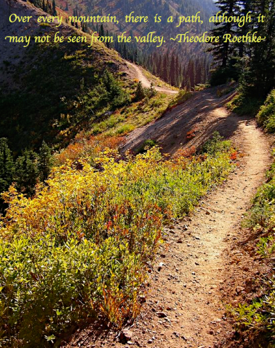 Screen Shot 2017-09-24 at 11.03.06 PM.png