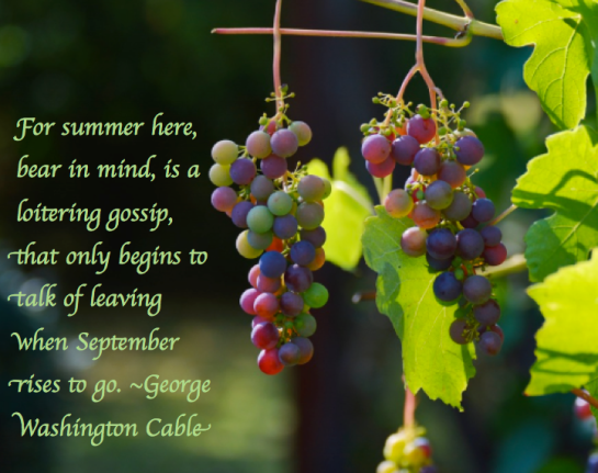 Screen Shot 2017-09-24 at 9.43.48 PM.png