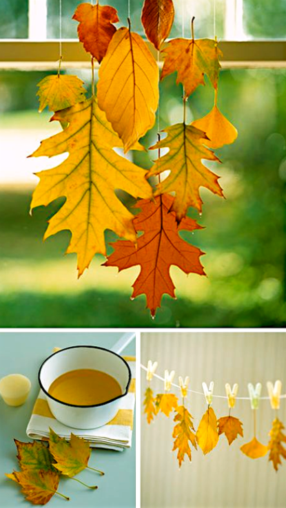 Screen Shot 2017-09-25 at 8.22.18 PM.png