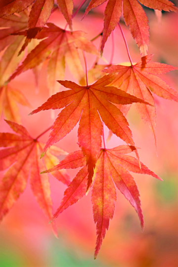 Screen Shot 2017-09-25 at 8.23.52 PM.png