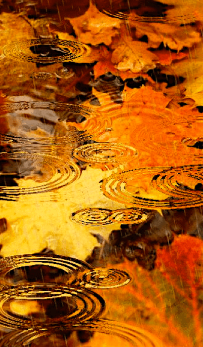 Screen Shot 2017-09-25 at 8.28.12 PM.png