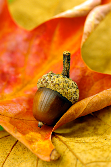 Screen Shot 2017-09-25 at 8.29.06 PM.png