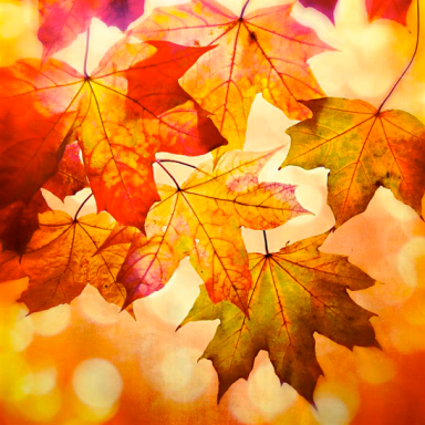 Screen Shot 2017-09-25 at 8.35.27 PM.png