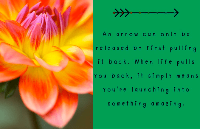 Screen Shot 2017-09-26 at 10.00.34 PM.png