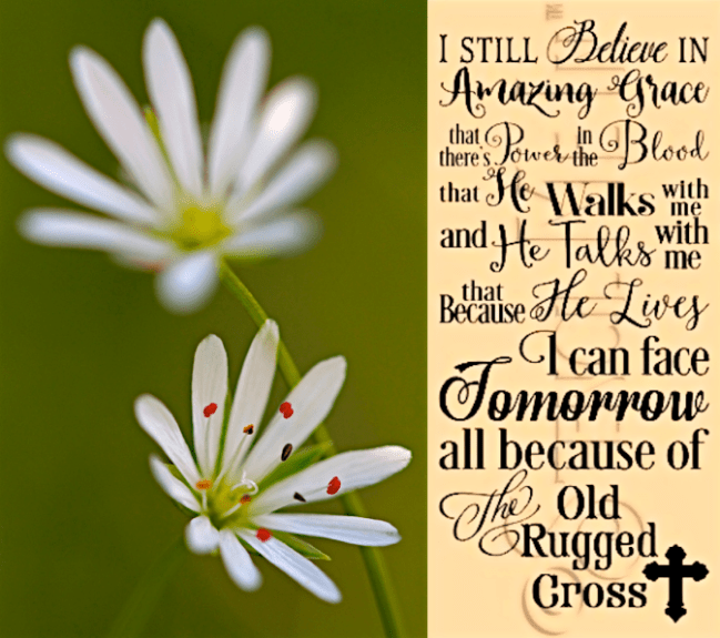 Screen Shot 2017-09-26 at 9.48.05 PM.png