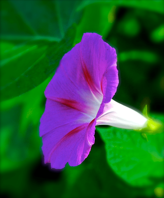 Screen Shot 2017-09-27 at 11.01.52 PM.png