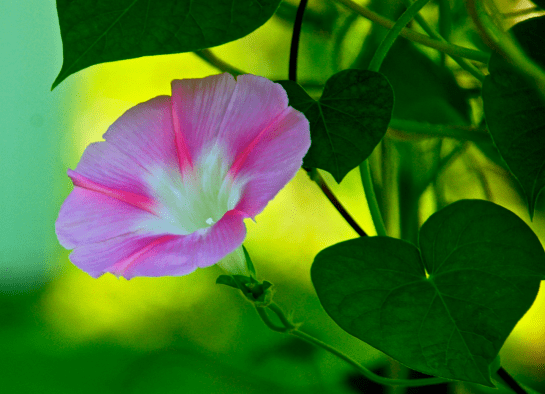 Screen Shot 2017-09-27 at 11.03.14 PM.png