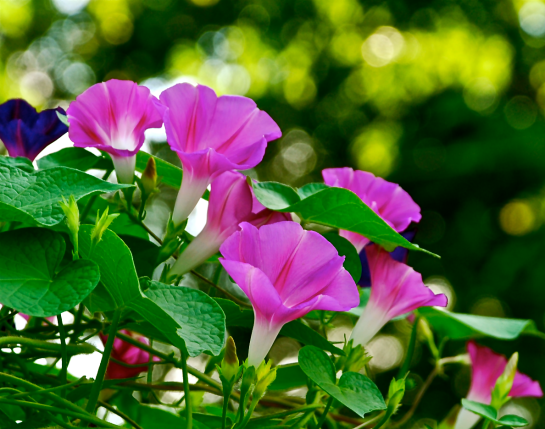 Screen Shot 2017-09-27 at 11.09.41 PM.png