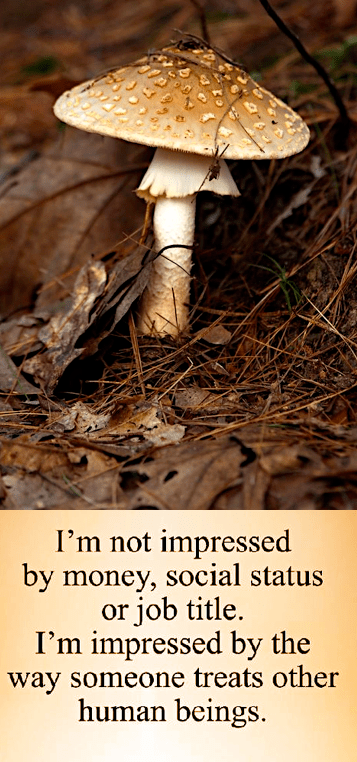 Screen Shot 2017-09-28 at 10.59.18 PM.png