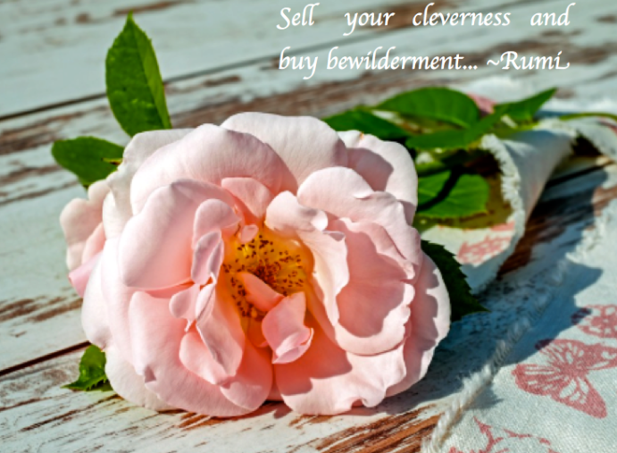 Screen Shot 2017-09-28 at 11.16.25 PM.png