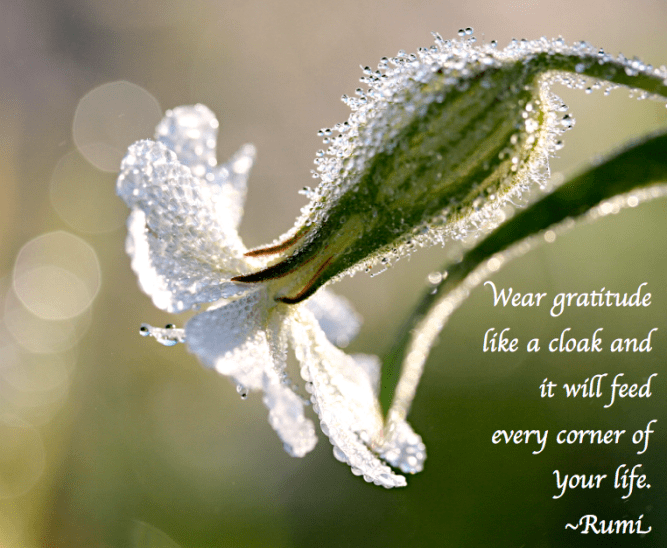 Screen Shot 2017-09-28 at 11.18.26 PM.png