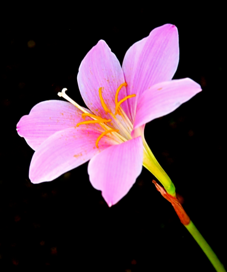 Screen Shot 2017-09-30 at 2.28.43 PM.png