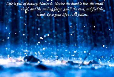 Screen Shot 2017-09-30 at 3.19.52 PM.png