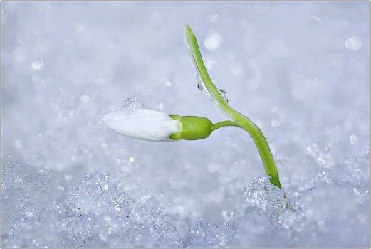 22405376_1001347693339555_7767545291818498948_n