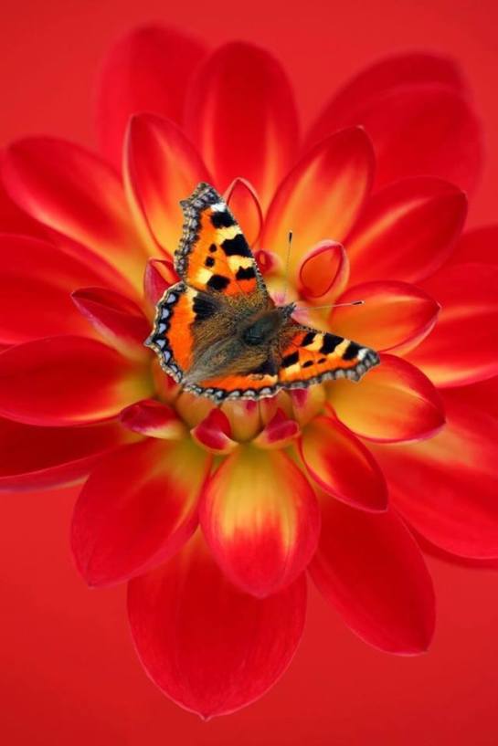 22730589_1857490180932452_7384938102051975388_n