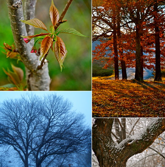 Screen Shot 2017-10-01 at 9.24.32 PM.png