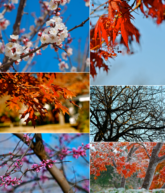 Screen Shot 2017-10-02 at 9.13.35 PM.png