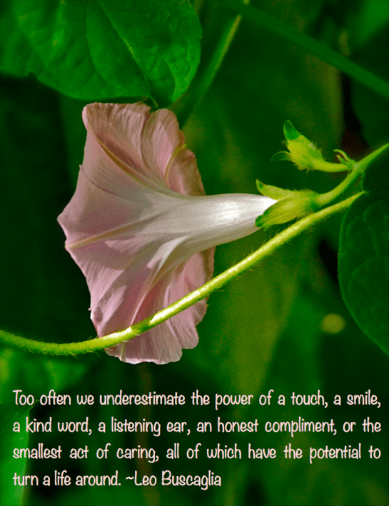 Screen Shot 2017-10-03 at 11.25.17 PM.png