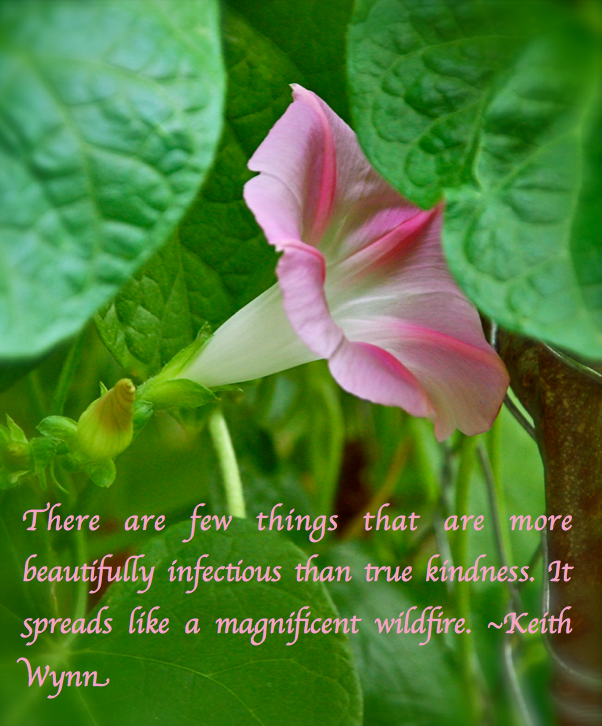 Screen Shot 2017-10-03 at 11.32.19 PM.png