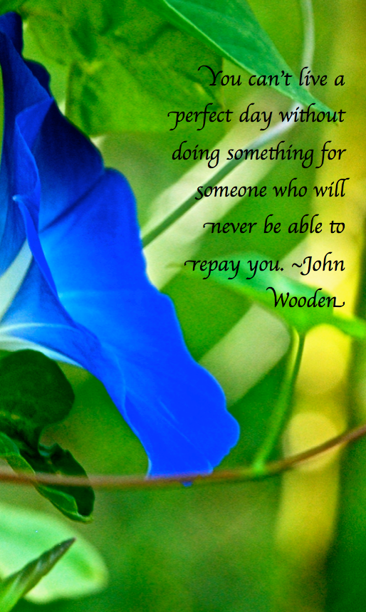 Screen Shot 2017-10-03 at 11.34.42 PM.png