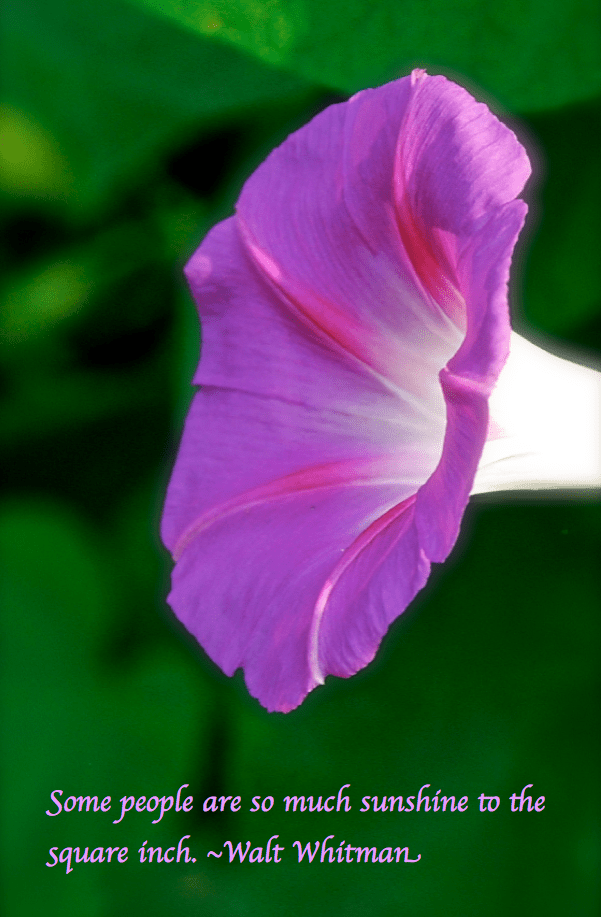 Screen Shot 2017-10-03 at 12.36.27 AM.png