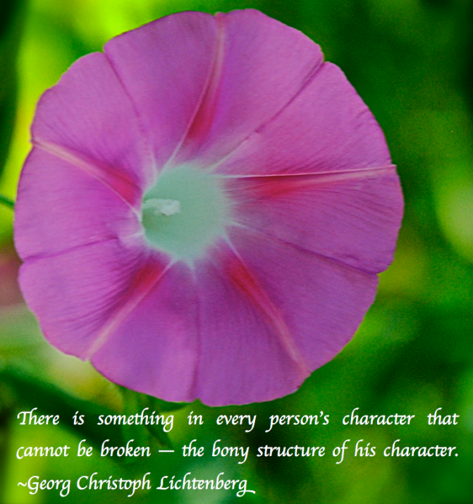 Screen Shot 2017-10-03 at 12.38.46 AM.png