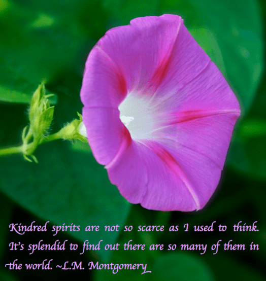 Screen Shot 2017-10-03 at 8.42.29 AM.png