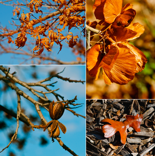 Screen Shot 2017-10-03 at 9.25.48 PM.png