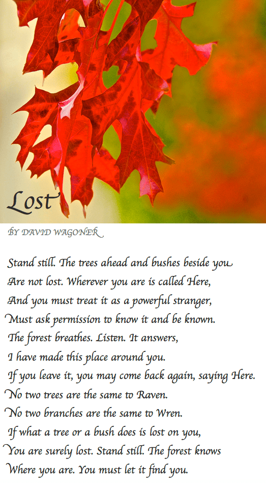 Screen Shot 2017-10-04 at 8.14.03 PM.png