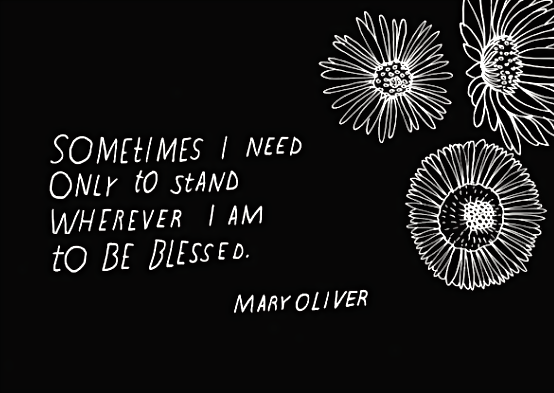 Screen Shot 2017-10-06 at 9.48.31 PM.png