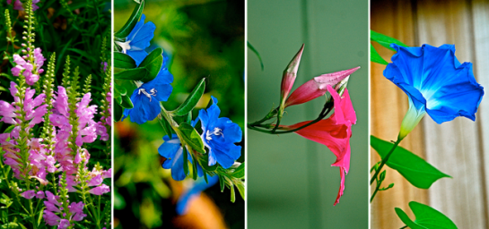 Screen Shot 2017-10-07 at 3.49.27 PM.png