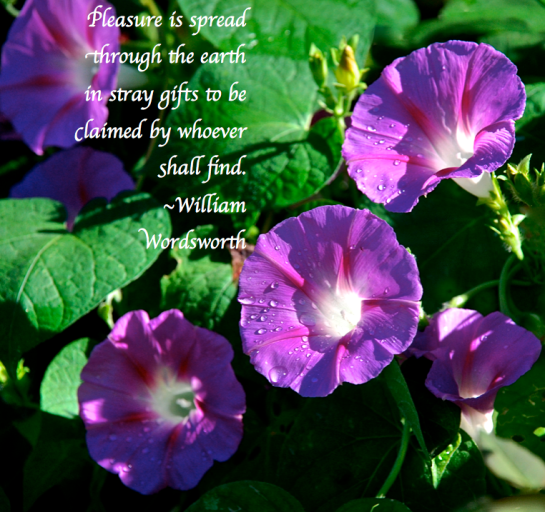 Screen Shot 2017-10-08 at 10.20.06 PM.png