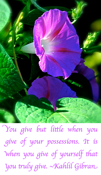 Screen Shot 2017-10-08 at 10.28.47 PM.png