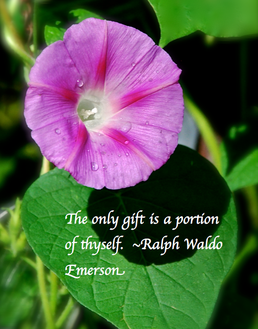 Screen Shot 2017-10-08 at 10.31.32 PM.png