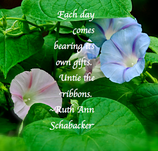 Screen Shot 2017-10-08 at 11.02.12 PM.png