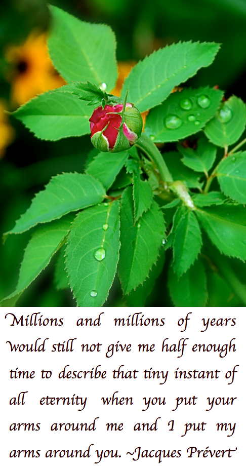 Screen Shot 2017-10-09 at 11.05.20 PM.png