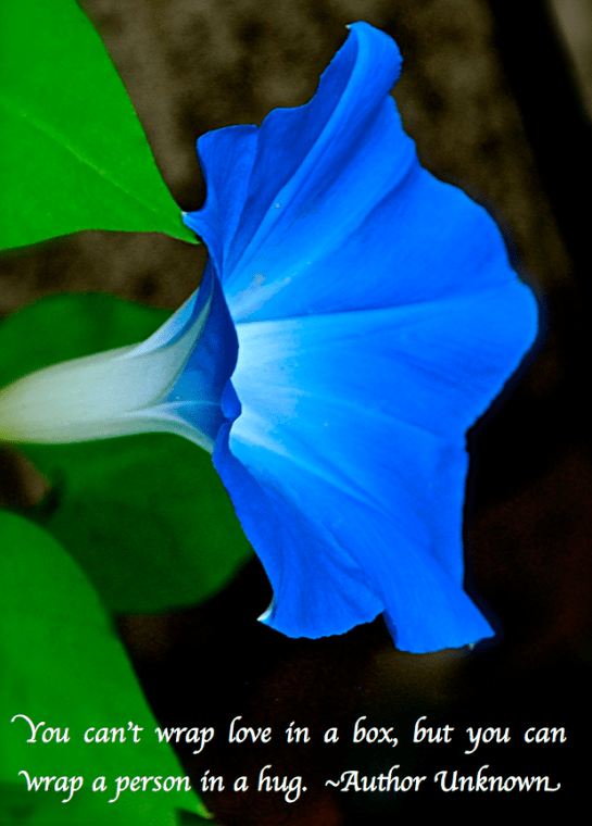 Screen Shot 2017-10-09 at 11.07.50 PM.png