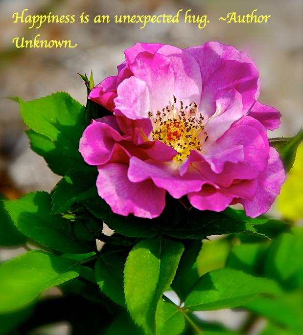 Screen Shot 2017-10-09 at 11.11.19 PM.png