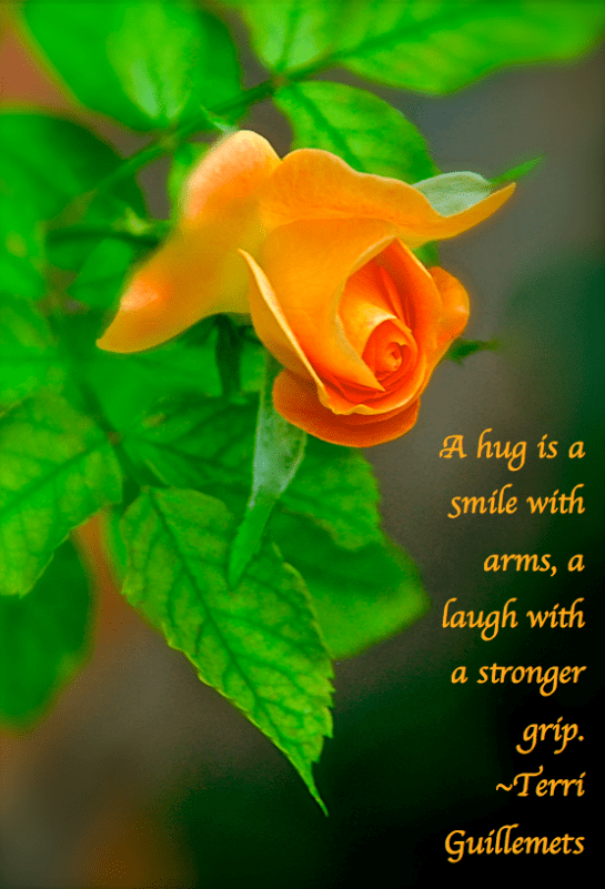 Screen Shot 2017-10-09 at 11.15.54 PM.png