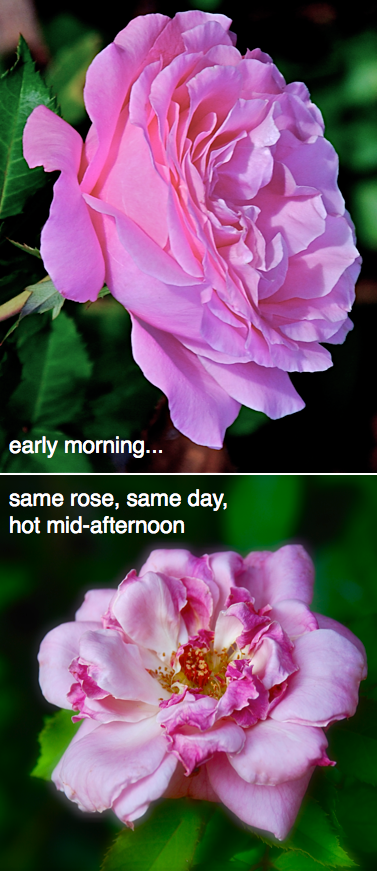 Screen Shot 2017-10-09 at 6.41.11 PM.png