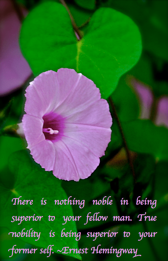 Screen Shot 2017-10-11 at 10.01.39 PM.png