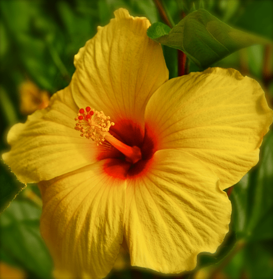 Screen Shot 2017-10-11 at 9.19.09 PM.png