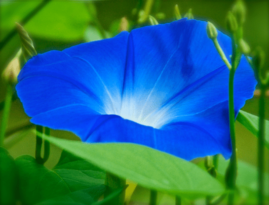 Screen Shot 2017-10-11 at 9.28.58 PM.png