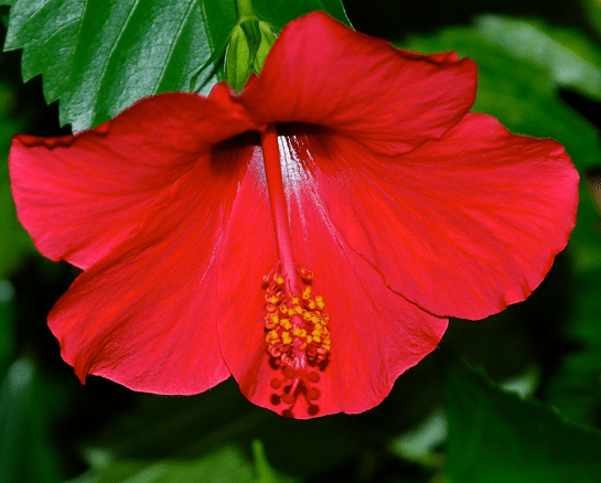 Screen Shot 2017-10-11 at 9.35.27 PM.png